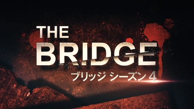 The Bridge ブリッジ シーズン4